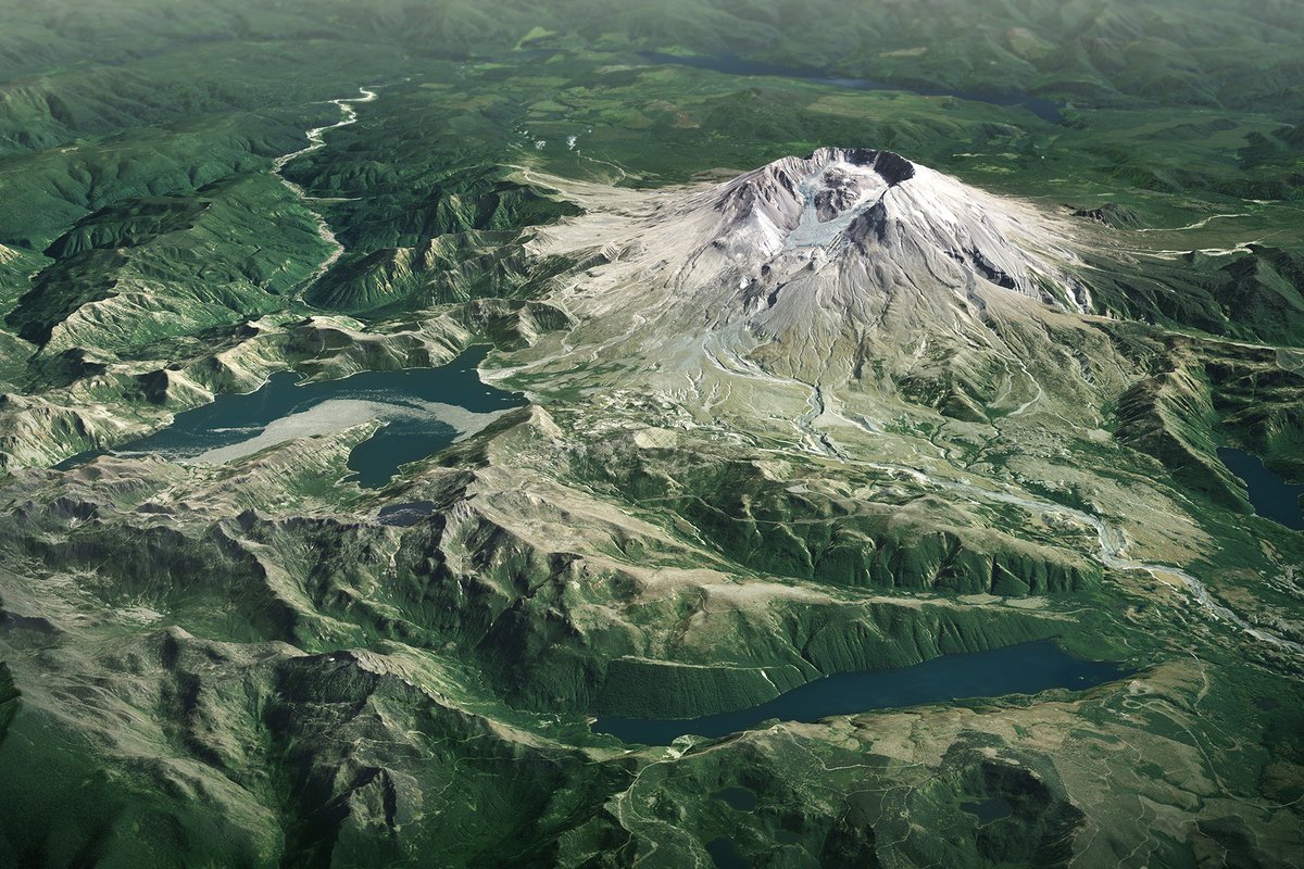 Caterina Montaldo Cat Montaldo Twitter