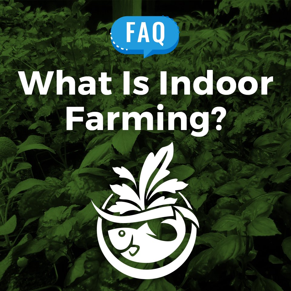 FAQ: What Is Indoor Farming? 

Indoor farming is a way to grow 🌿 fresh veggies and other crops that can be used at any time of year! A common practice is to stack crops on top of each other, rather than side by side. #indoorfarming #verticalfarming #urbanfarming #growyourown
