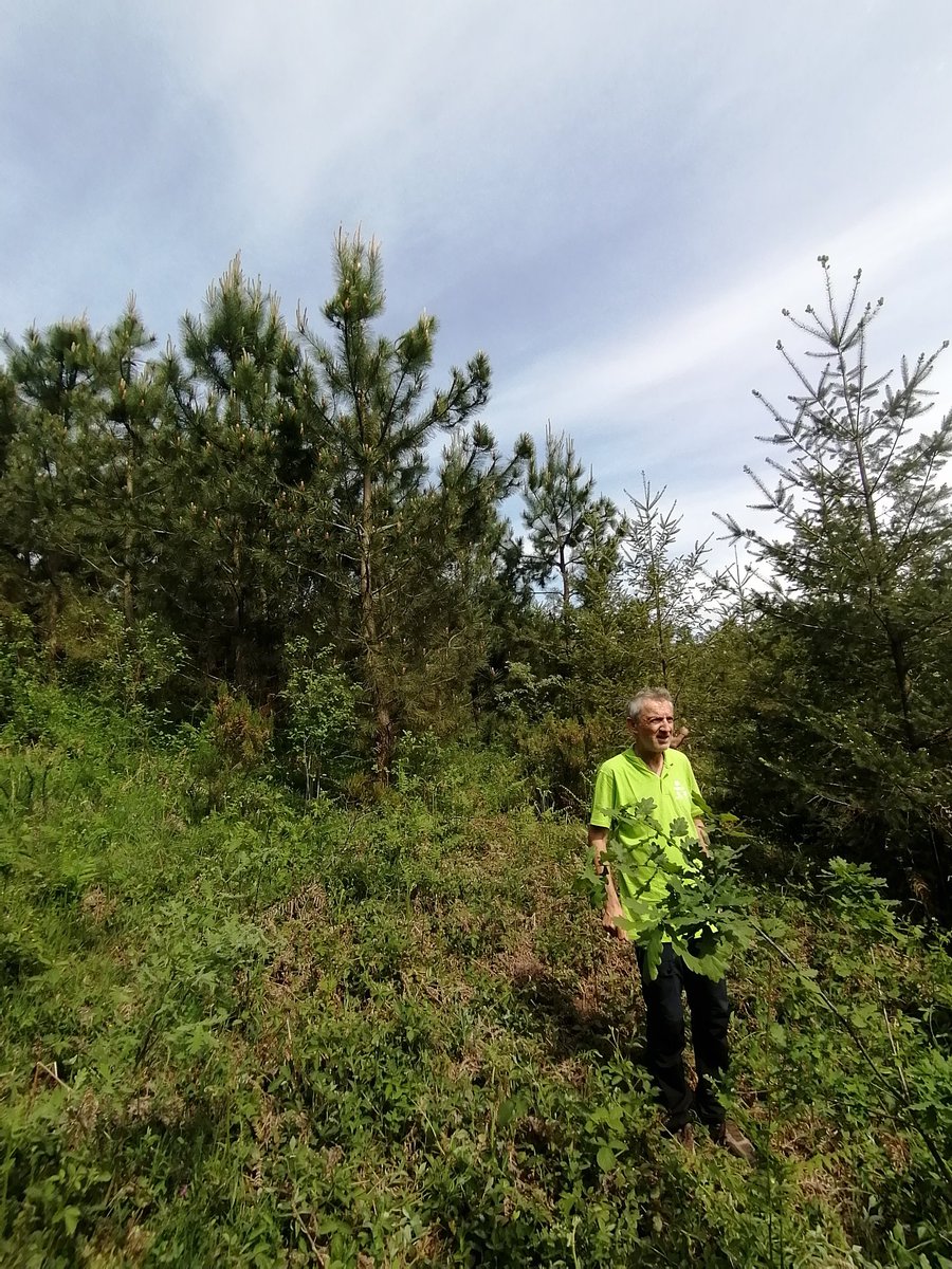 FORESPIR_'s tweet photo. Preámbulo del coloquio #Adapyr y #acclimafor que tendrá lugar mañana y viernes en Bilbao, estamos visitando las parcelas de gestión forestal adaptativa al #CambioClimatico en País Vasco. 🌲 https://t.co/jyLqqBamca