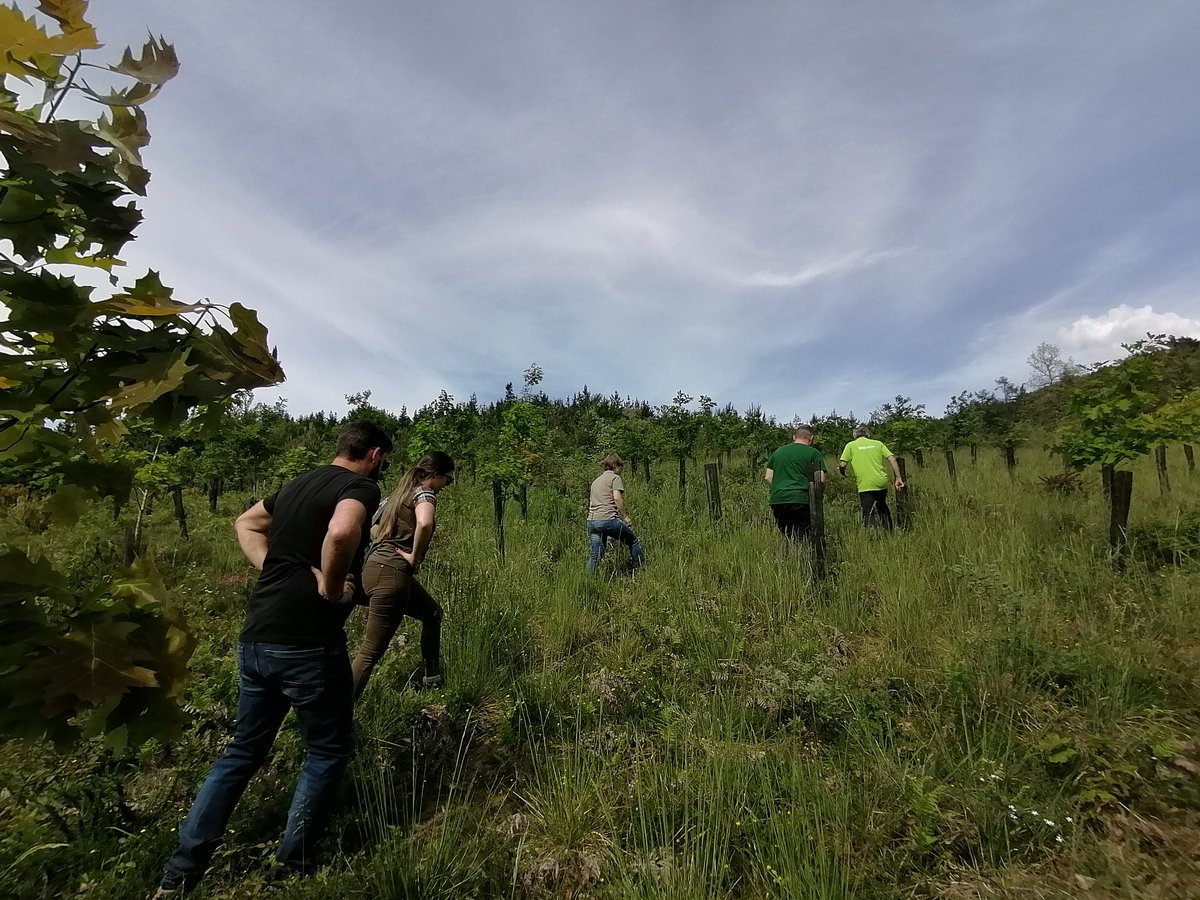 FORESPIR_'s tweet photo. Preámbulo del coloquio #Adapyr y #acclimafor que tendrá lugar mañana y viernes en Bilbao, estamos visitando las parcelas de gestión forestal adaptativa al #CambioClimatico en País Vasco. 🌲 https://t.co/jyLqqBamca