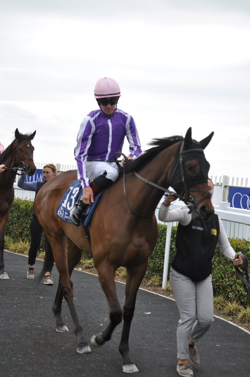 PCequinephoto's tweet photo. PORTO CERVO trained by Aidan O Brien NAAS 15-5-22 https://t.co/9GXADyIQ4u