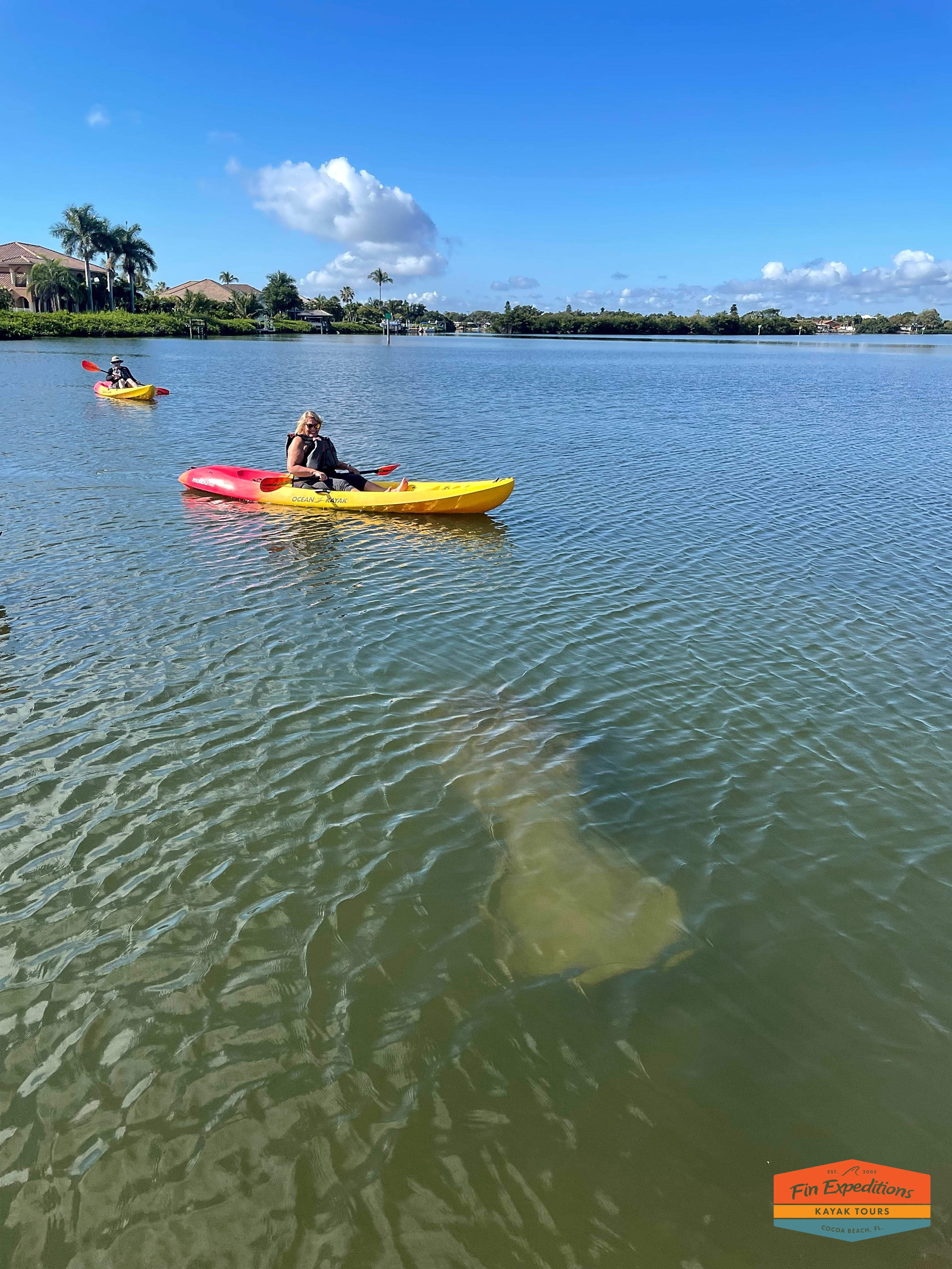 Fin Expeditions Kayak Tours Cocoa Beach (FinExpeditions) / Twitter