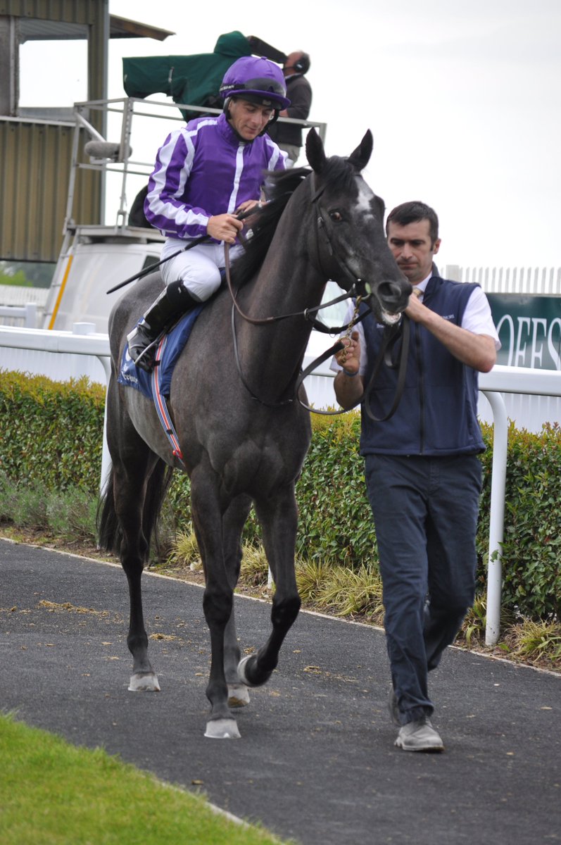 PCequinephoto's tweet photo. GALLERIA BORGHESE trained by Aidan O Brien NAAS 15-5-22 https://t.co/n5zec70wi0