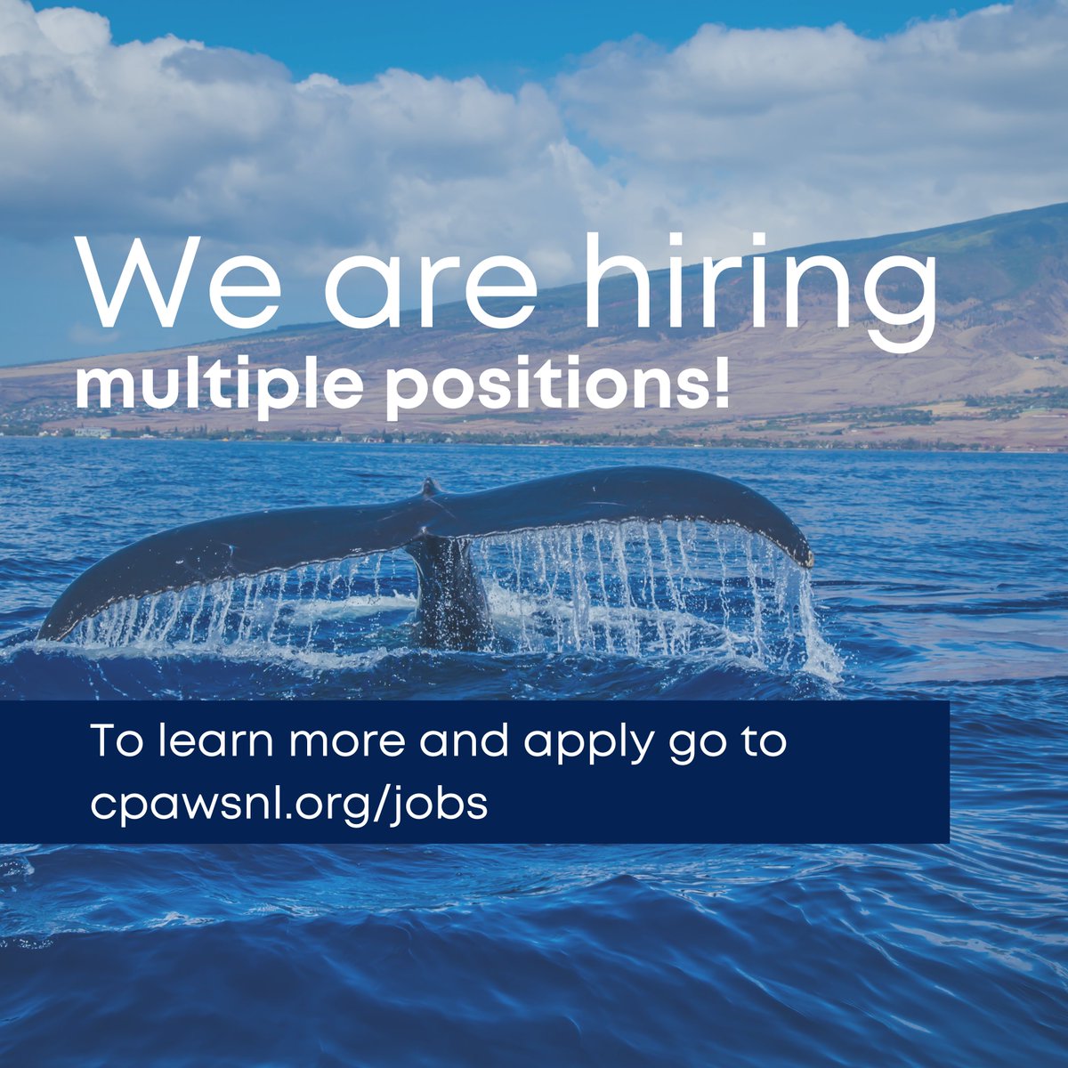 CPAWS NL tweet media