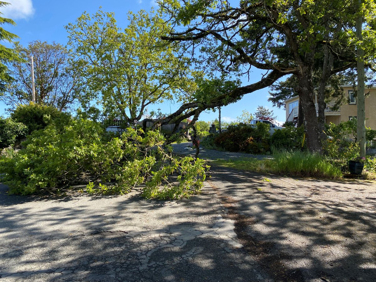 Town of View Royal tweet media