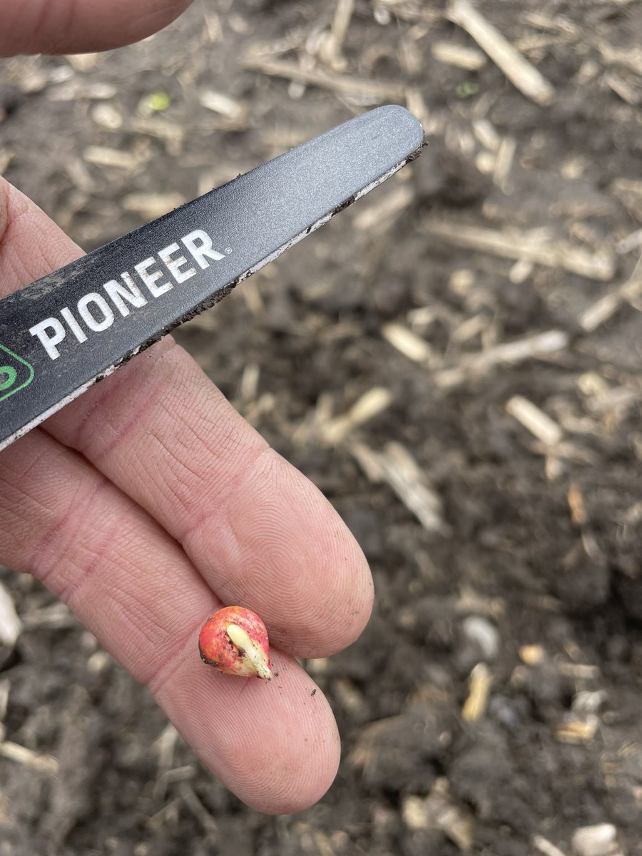 Going to have corn out of the ground before June. Hey it’s my 10 ac I can get excited. 10ac  x 3k bu/ac= contracts filled.
