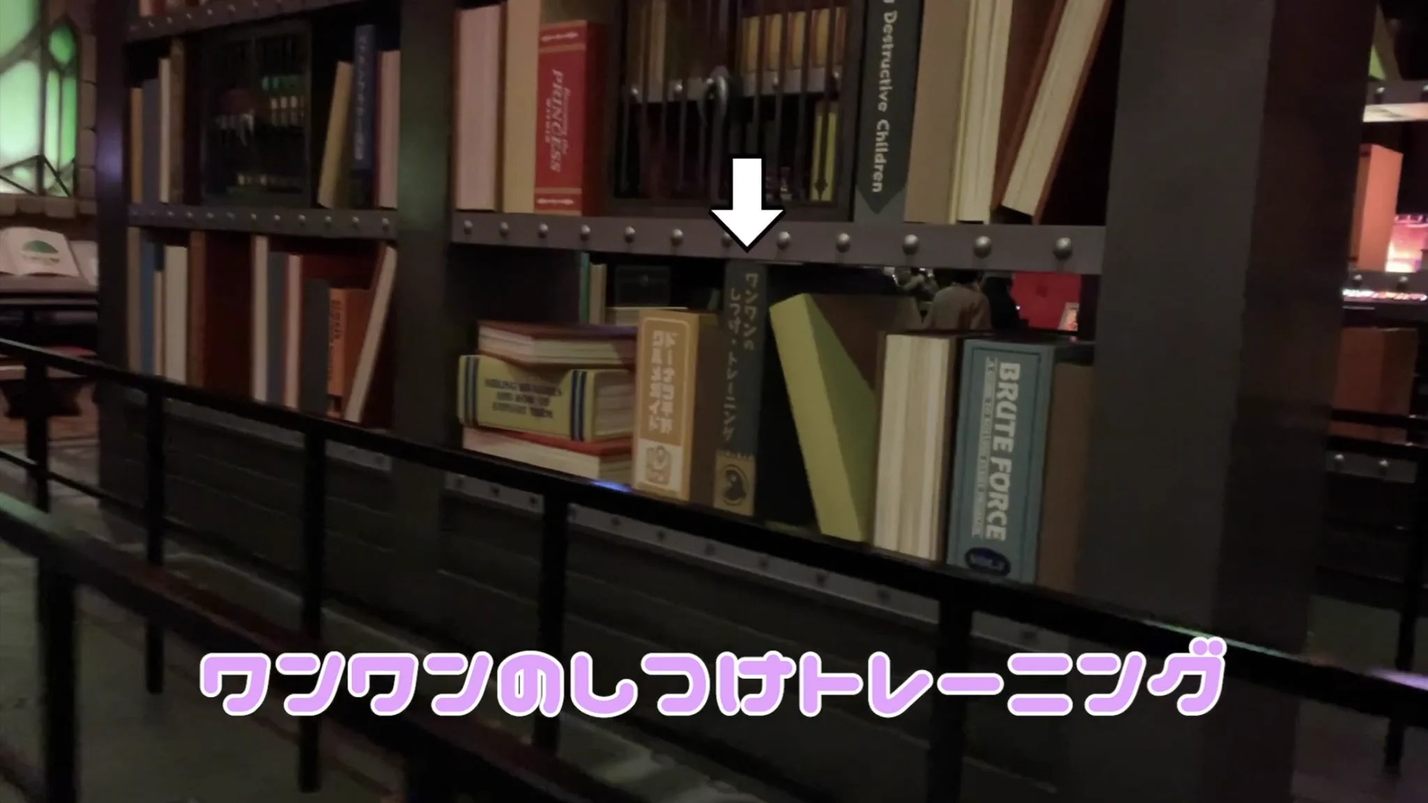 @yumesakana このツイートの本題と全く関係ない上にワイのクソ画質動画のスクショで申し訳ないんやけど、ここのエリアの本全部めちゃくちゃ面白そうなので、行った人は是非しっかり見てほしい… 