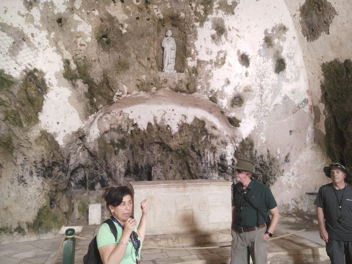 proc_task's tweet image. 