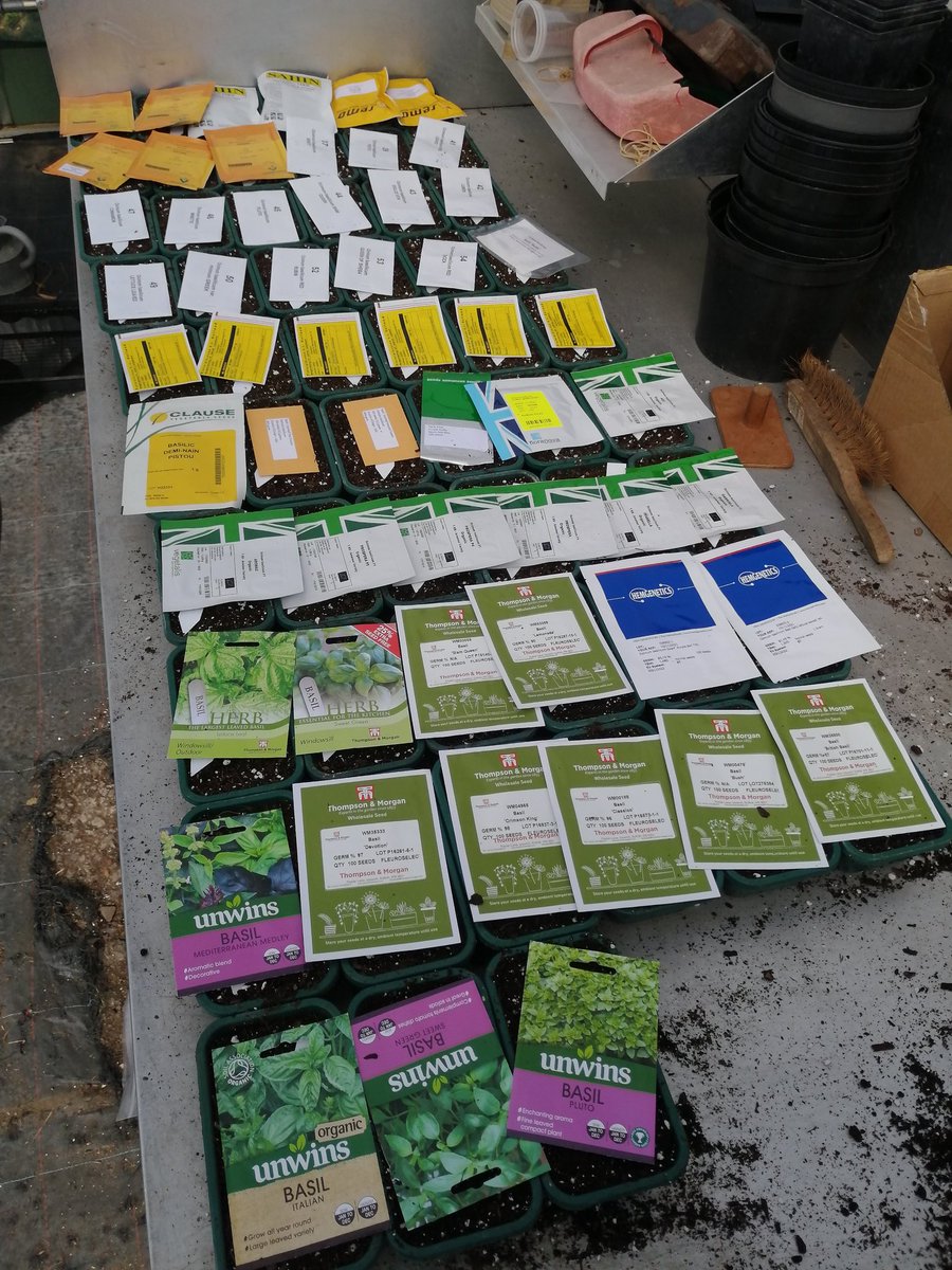 Matt Oliver tweet media