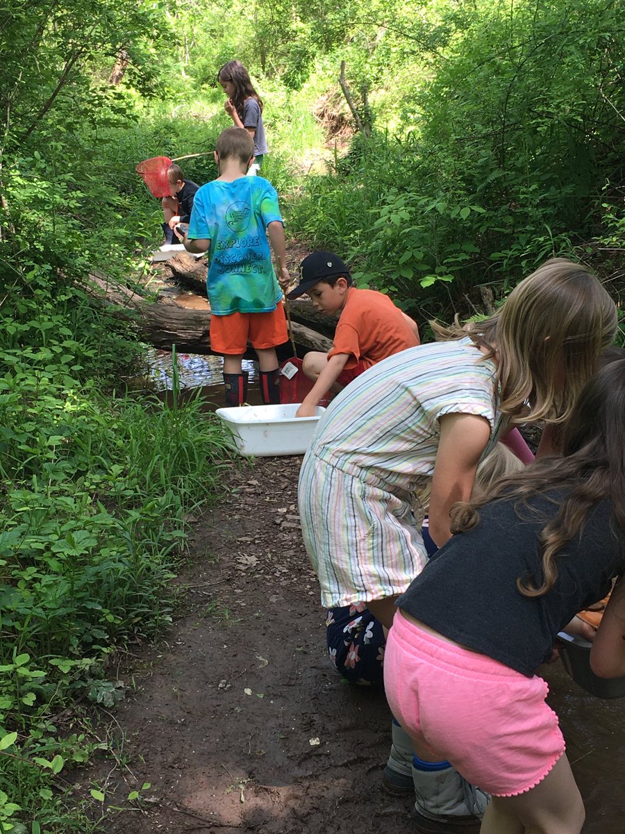 Investigating the creek along the Jacob’s Creek Trail!  Thanks, Mrs. Overman!  #beartavernpride