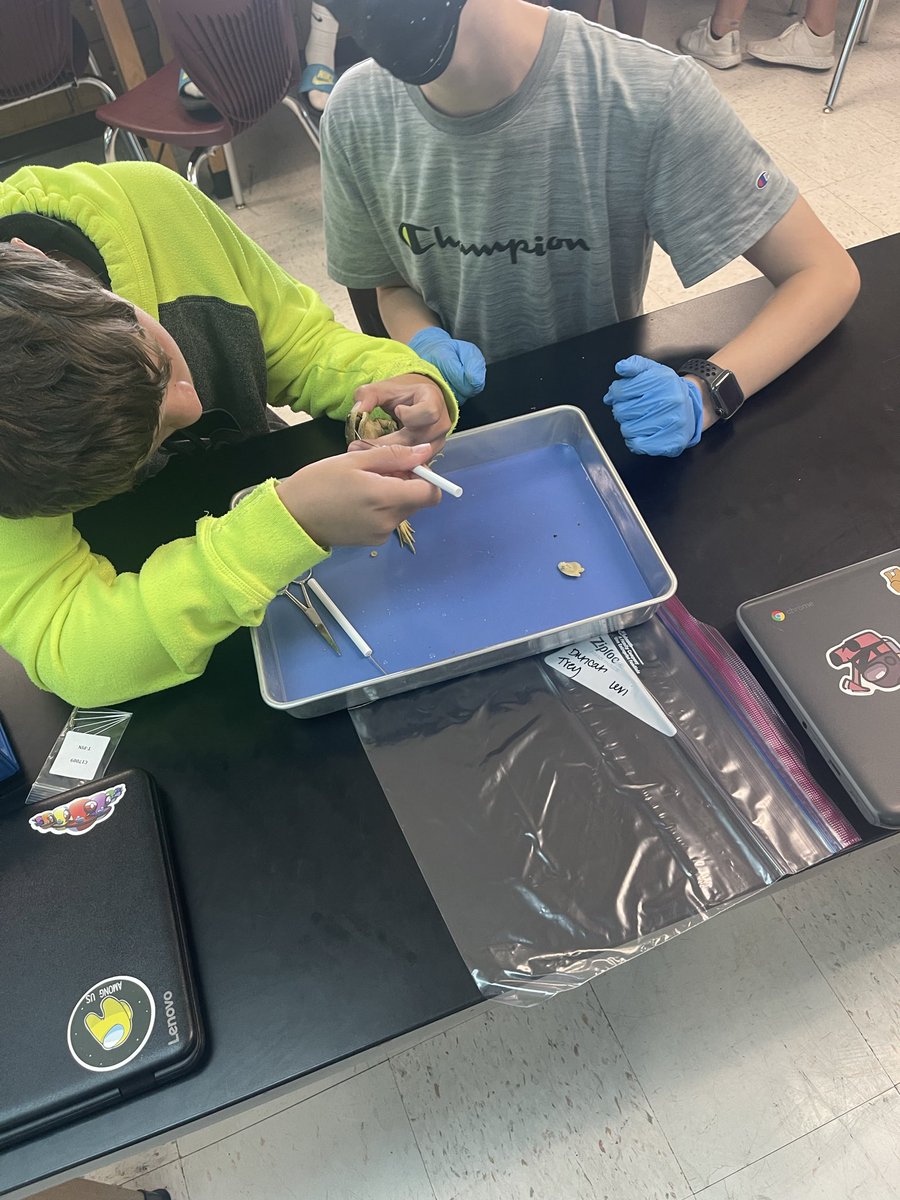 Jeff Rhode tweet media