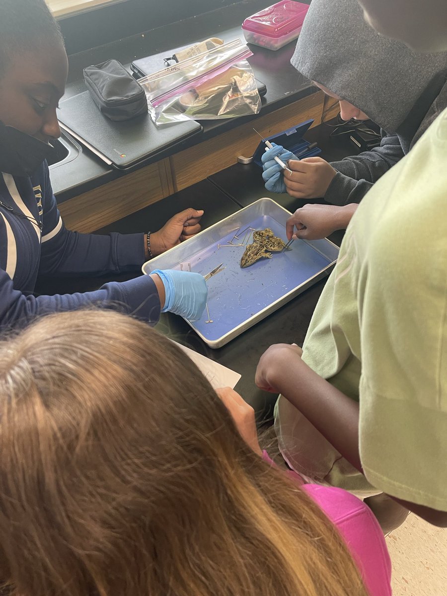 Jeff Rhode tweet media