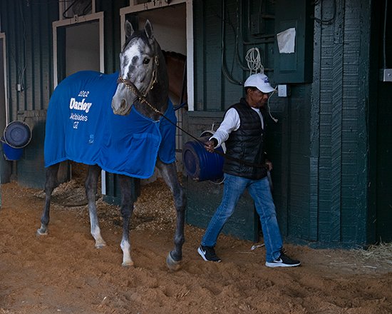 BH_AEberhardt's tweet photo. Busy morning at @Pimlico as all @PreaknessStakes contenders have arrived #CreativeMinister (by #CreativeCause) #KyOaks winner #SecretOath (by #Arrogate) #Fenwick (by #Curlin, last to arrive and eating up!) and #Epicenter (by #NotThisTime and 2nd in @KentuckyDerby) @bigdreyfus https://t.co/2angVApxXL