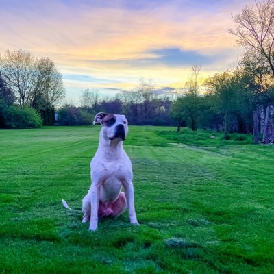 JenSunleaf's tweet image. #NewProfilePic