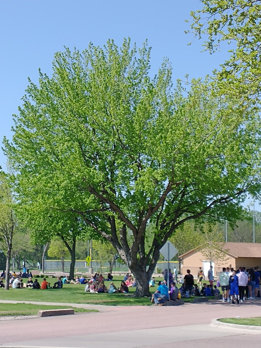 Blake Wieking tweet media