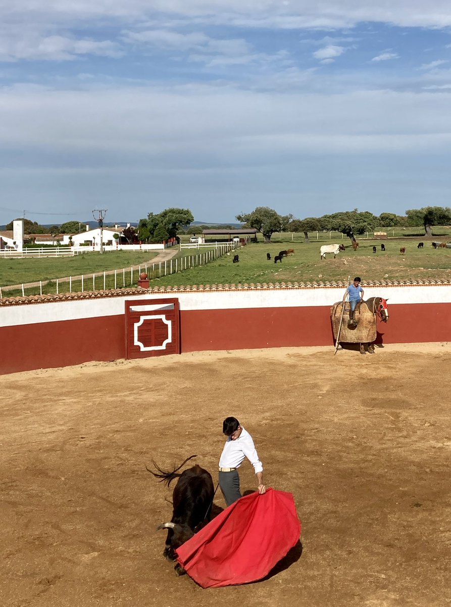 Todo al #23demayo #lasventas.
Gracias <a href="/AlbertoRevesado/">Alberto Revesado</a> <a href="/TorosTorrealba/">GanaderiaTorrealba</a>