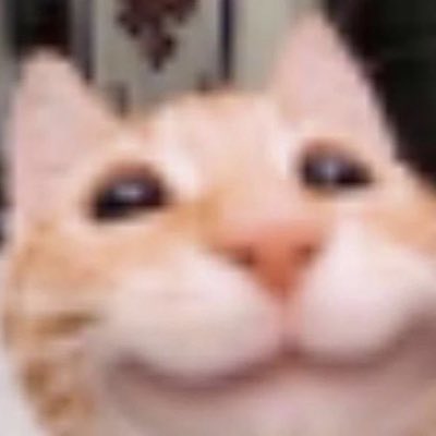 AmazedBot's tweet photo. #NewProfilePic #Goals #RelationshipGoals #relationships #gay #fitness #robux #amazedisoverparty https://t.co/xtJxDCJjdg