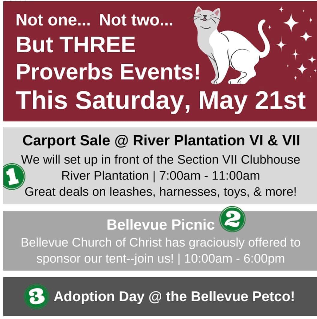 TNProverbs1210's tweet photo. We have so much planned Saturday! Come see us!! Great yard sale, Bellevue Picnic, and Petco Adoption Day!
#ProverbsNation
https://t.co/OoXGHftDun https://t.co/sZxrrCXhwE