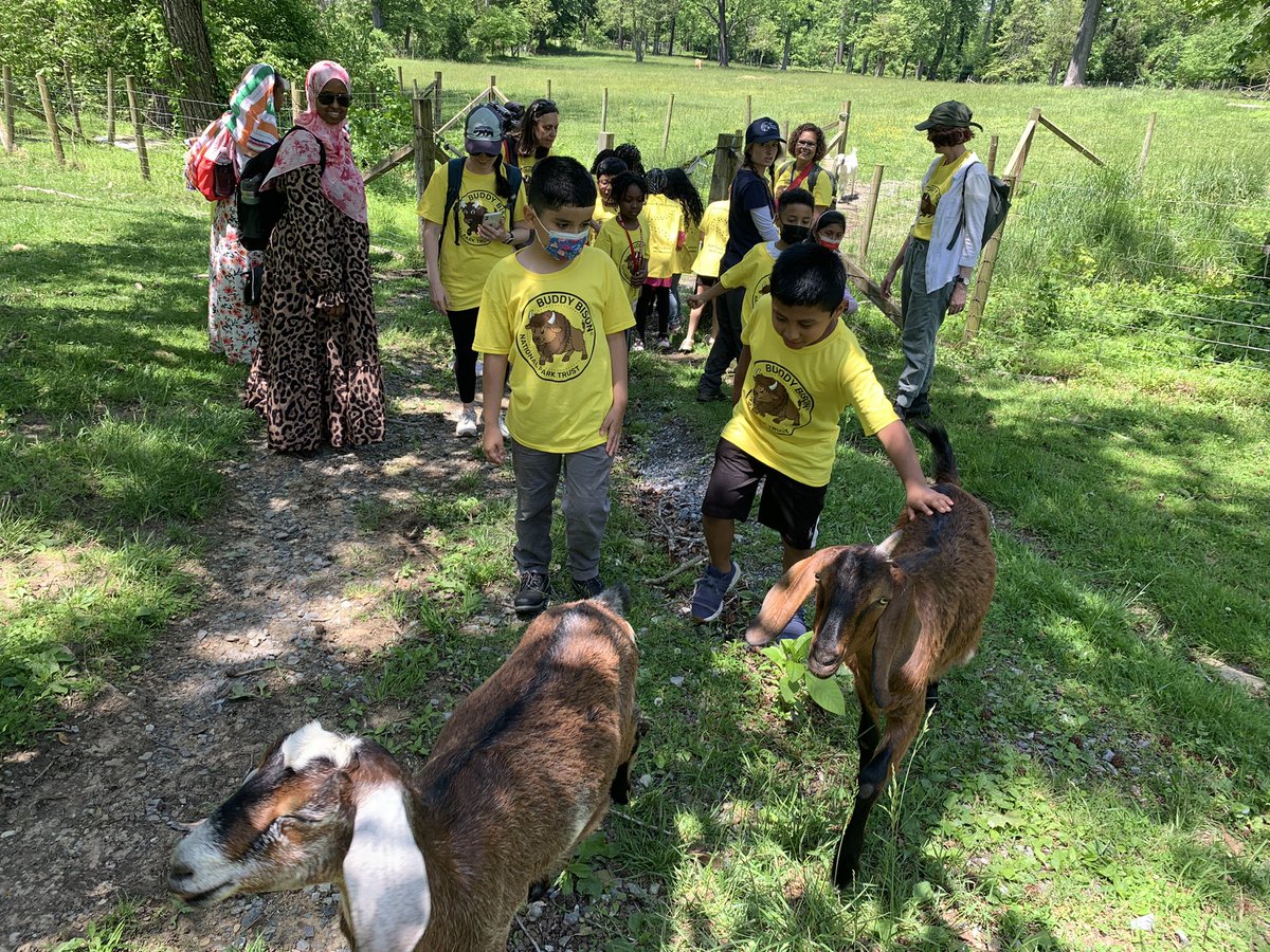APSChristensen's tweet photo. We had a fun learning day on our field trip to @AliceFerguson Farm. Thank you @NatParkTrust for supporting our learning outside the classroom @APSDrew @APSDrwDragonDEN https://t.co/A5of1bEOub