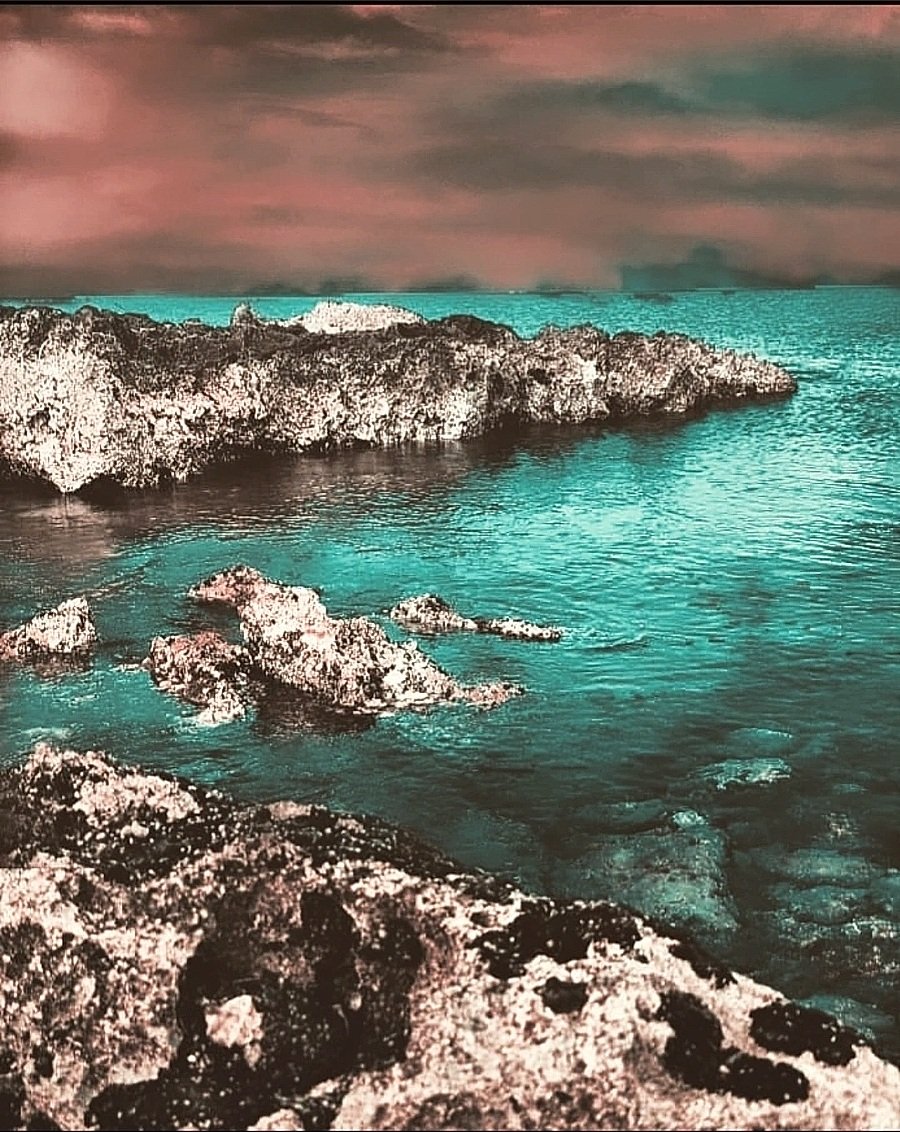 moonlightstoryR's tweet photo. "  do not hide your crazy from me.  for mine seeks company, and comfort.." #photography #photooftheday #mine #photo #PhotographyIsArt #photographylovers #PhotographyRedefined #seaside https://t.co/N3bOAol2X6