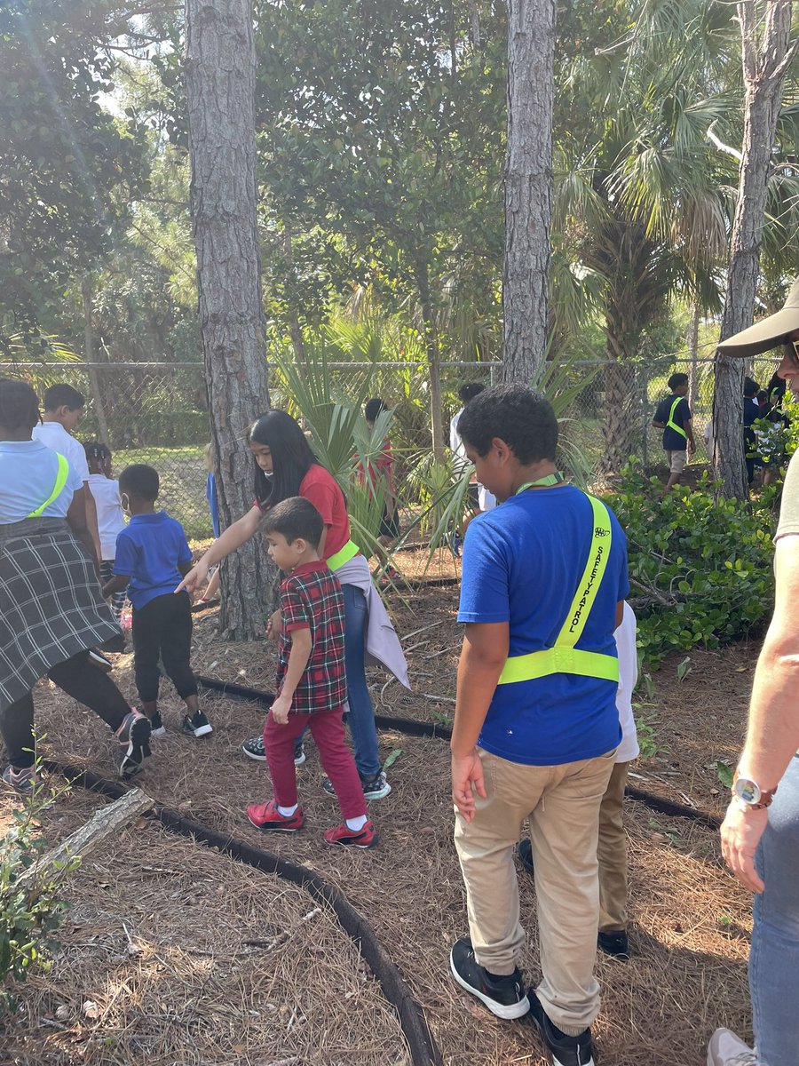 Daniela Whiteside tweet media