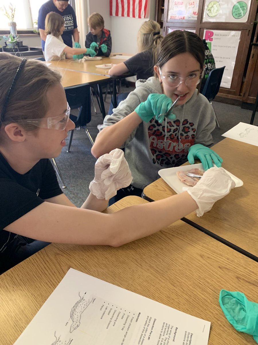 Michele Lewis tweet media