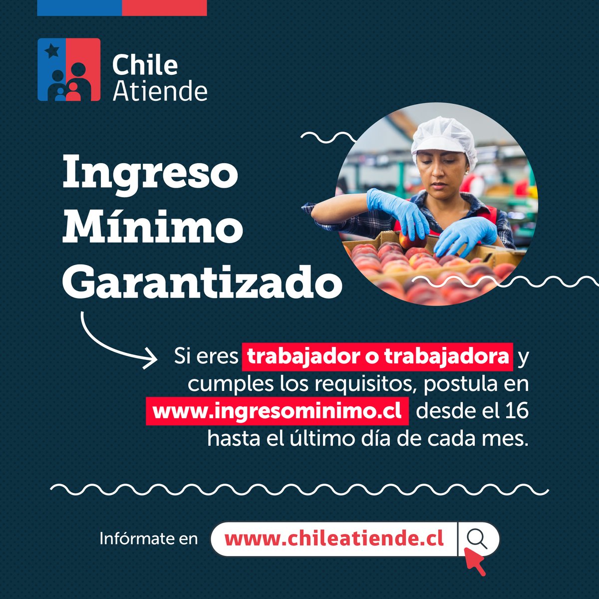 ChileAtiende's tweet photo. 📢¡Atención trabajadores y trabajadoras!

Si cumples los requisitos para postular al #IngresoMínimoGarantizado #IMG, recuérdale a tu empleador que ahora él también puede hacer el trámite.

Conoce más detalles 👉 https://t.co/uuvkvu6vtw https://t.co/HRrHaIC1hx