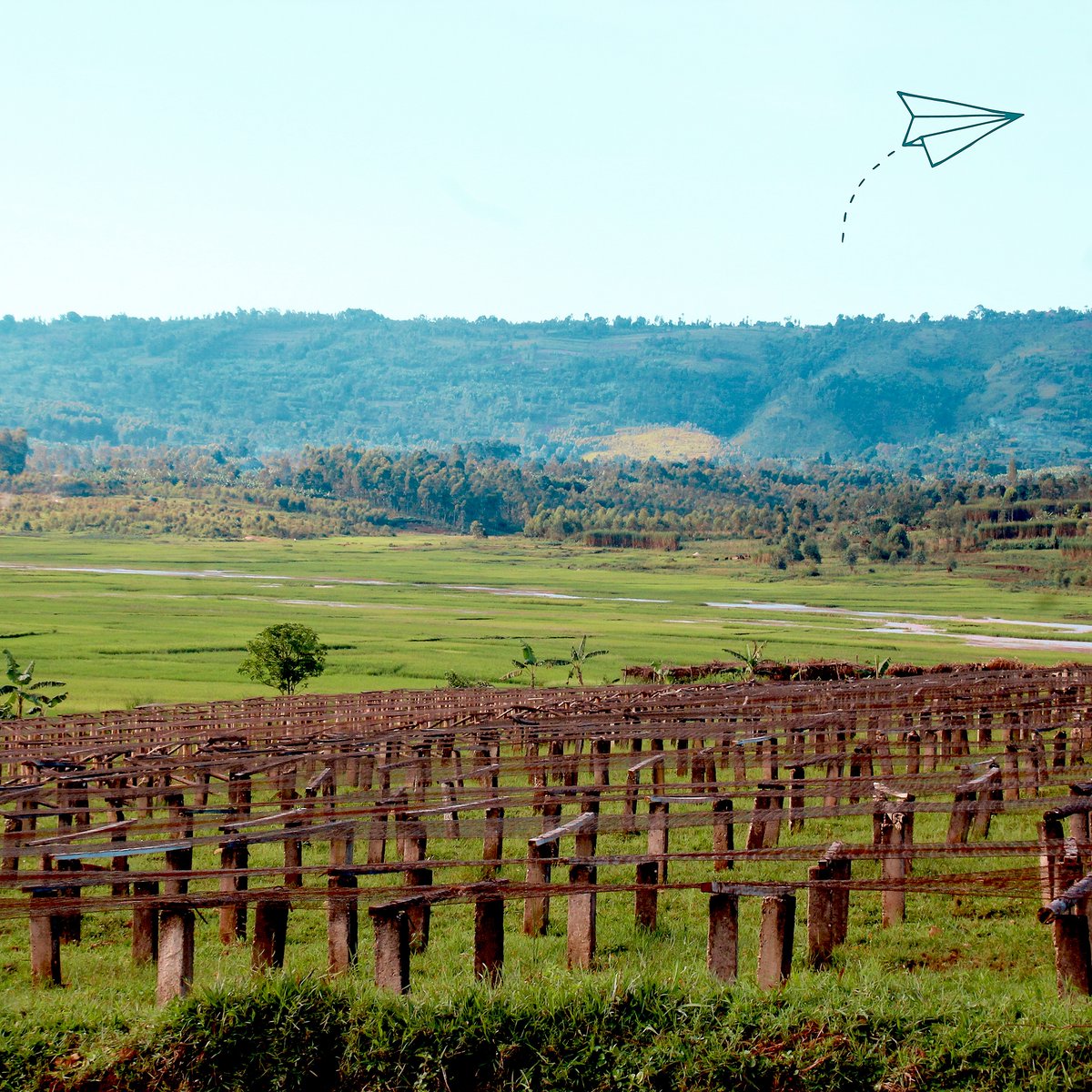 Going on an origin trip is one of the best things about working in coffee, so we have asked our team to share some tips on how to prepare for an origin trip (and make the most out of it!). In short: ✔️pack smart, ✔️be curious ✔️have fun! bit.ly/3wwTfeu #specialtycoffee