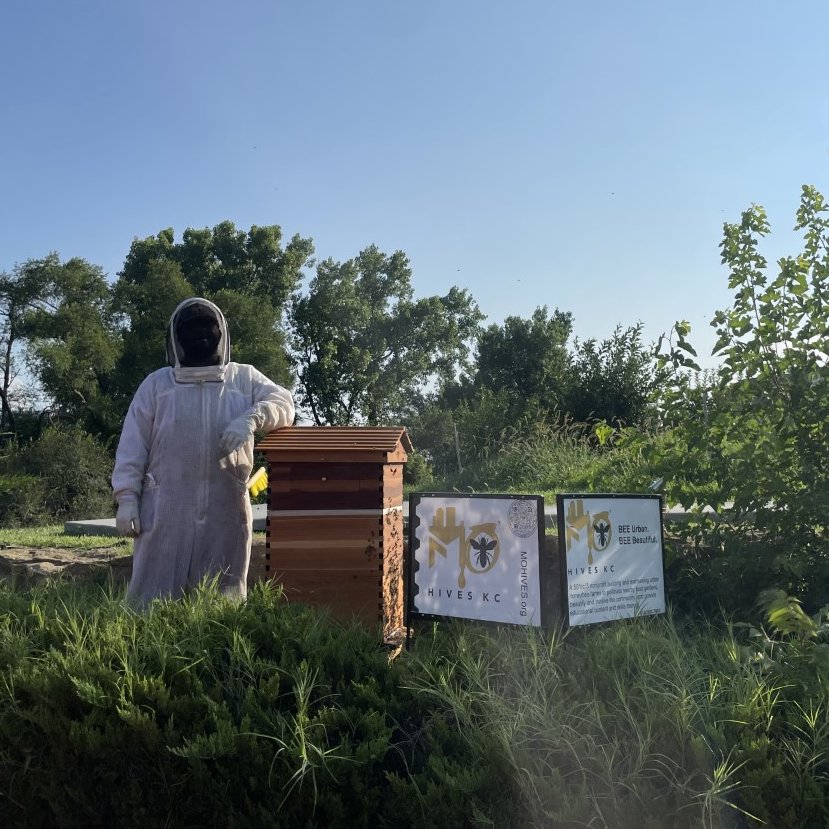 Honey bees pollinate more than 130 fruits and vegetables. Thanks to Missouri Hives, we have a beehive in our #CommunityGarden for the third year in a row! Last year, we harvested 650 pounds of produce, which is given to our patients and families, and local community partners!