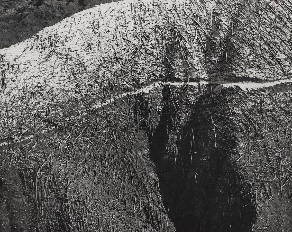 PDXArtMuseum's tweet image. Mt. St. Helens erupted #OnThisDay in 1980. The lateral blast decimated 210 square miles &amp;amp; killed 57 people, making it the deadliest eruption in U.S. history. Photographers like Marilyn Bridges depicted the savage beauty as in this aerial view of trees blown down by the shockwave.