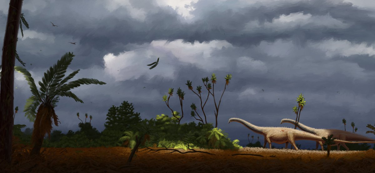 Midiaou7's tweet photo. Pair of Diplodocus carnegii in an untitled piece
#sciart https://t.co/jxS9ZaOvyj