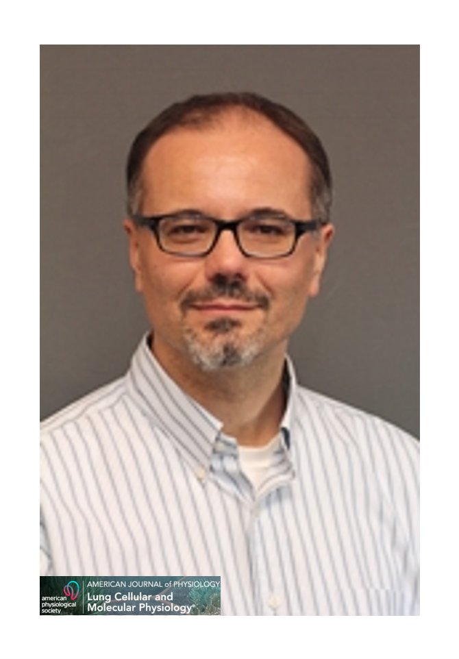 AJPLung's tweet photo. Imatinib alleviates #lunginjury and prolongs survival in ventilated rats, in a #RapidReport by Dr. Maurizio Cereda (pictured) and coauthors from @PennMedicine 

Learn more: https://t.co/tIn4cwofsi

#ArticlesInPress #ARDS #edema https://t.co/QAfARxEd3w