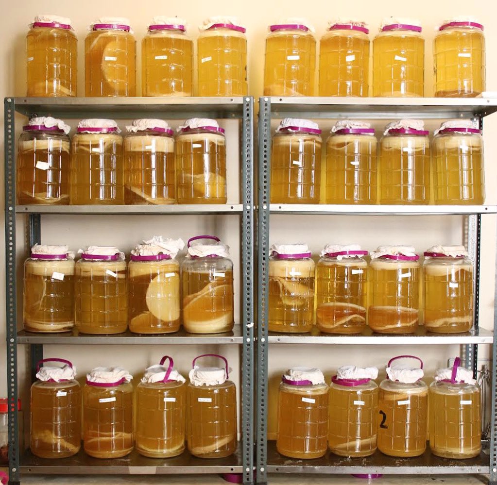 bhukombucha tweet media