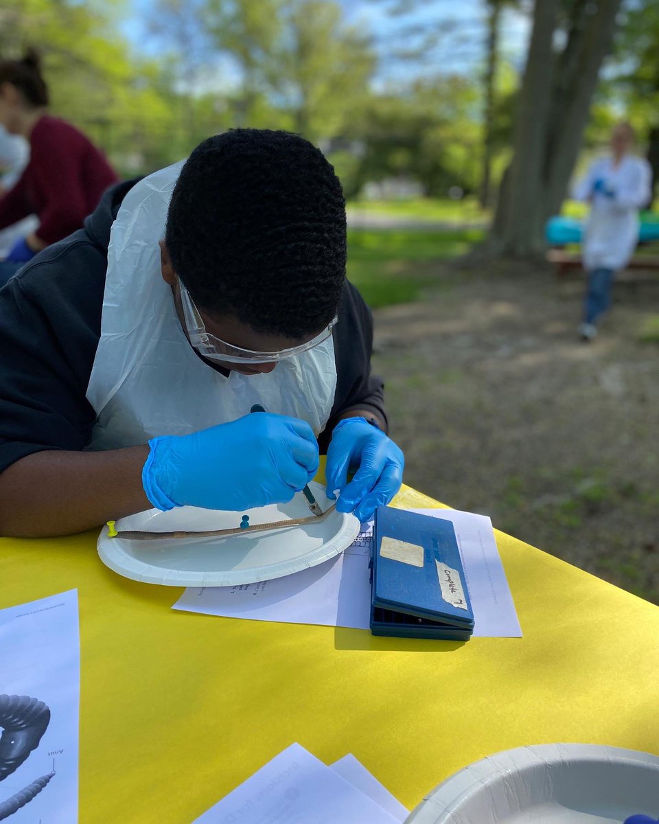 SASLville's tweet photo. SAS Anatomy! Earthworm dissection for 8G students in Mrs. Daniel’s #Science class. #saslville #middleschool #Anatomy https://t.co/2LQBvLYuNg