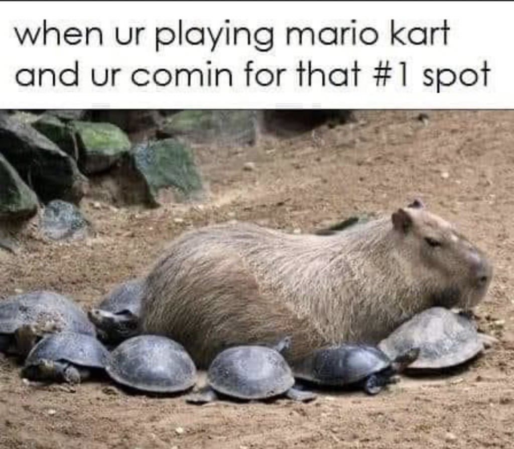 CAPYBARA_MAN's tweet photo. https://t.co/UYxBrhzOFY