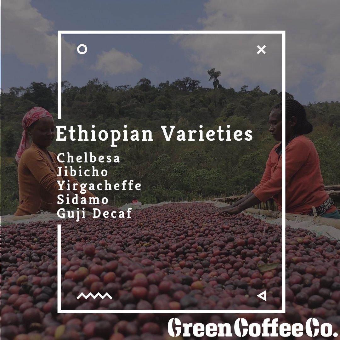| ETHIOPIAN VARIETIES | The perfect cup of coffee is a thing of beauty, with our Ethiopian Coffee Varieties you can enjoy a cup that's rich and full-bodied. Roast your own beans for your own perfect brew!
#ownyourroast #greencoffeeco #roastyourownbeans