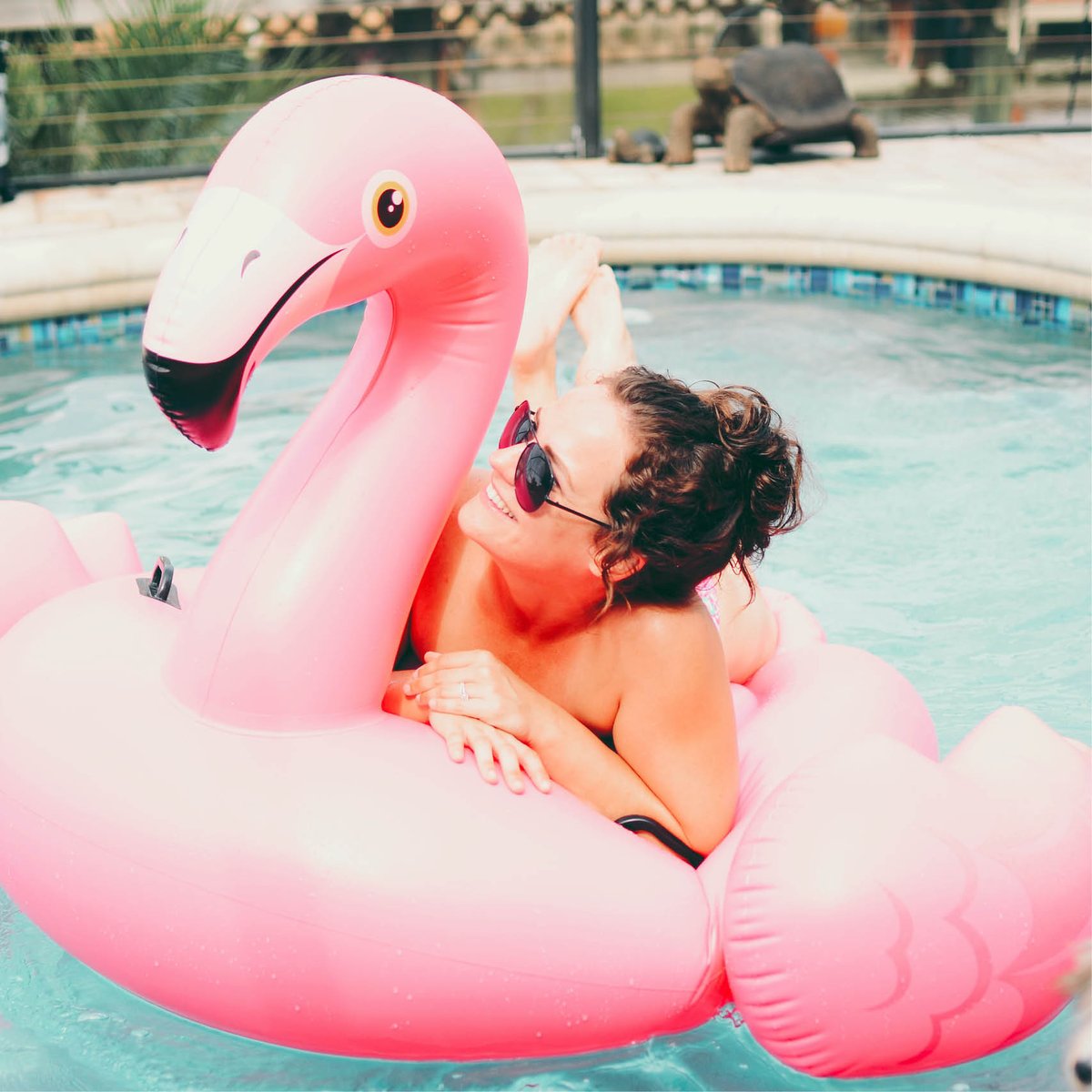 Christmas.com tweet media