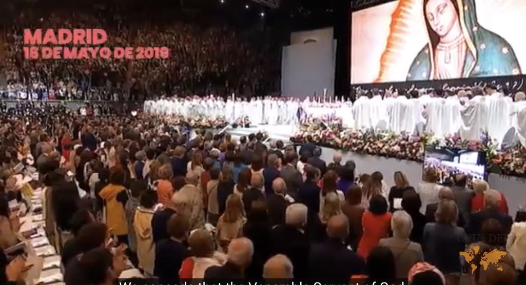 opusdeich's tweet photo. Der #18Mai ist der Festtag der seligen #GuadalupeOrtiz.
Sie war eine der allerersten #Frauen, die sich dem #OpusDei angeschlossen haben. Zusammenfassung 👇der Feier ihrer Seligsprechung.
#BeGol 🌵
https://t.co/OiJwpxIqDT https://t.co/kSexZ5d6yF