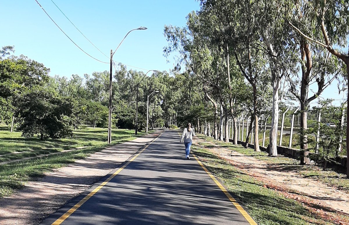 Parque Ñu Guasu y Guasu Metropolitano Paraguay tweet media