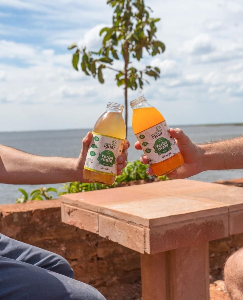 economisiones's tweet photo. #ConSelloPropio Wild Iguar: la bebida energizante a base de yerba mate y frutos tropicales con proyección internacional
https://t.co/WCXouYdvda https://t.co/EvU913pqW2