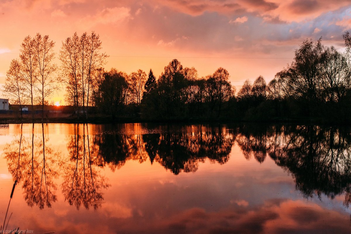 Светлана tweet media