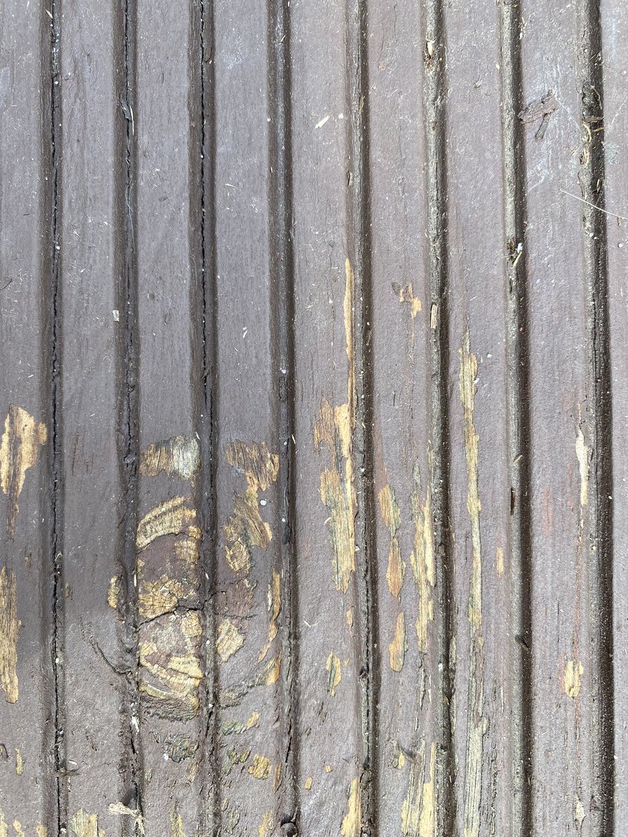 Primageographer's tweet photo. Human &amp; natural patterns in the local environment #rgsfieldwork - now to add them to a map! https://t.co/exiW1g02s2
