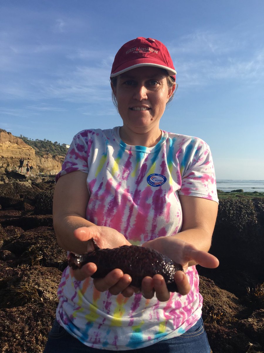 Dr. Jessica Goodheart (@sluglife28) on Twitter photo I am thrilled to announce that I will start this fall as Assistant Curator of #Malacology and Assistant Professor <a href="/RGGSatAMNH/">RGGS at AMNH</a> <a href="/AMNH/">American Museum of Natural History</a>! My lab will study biodiversity and evolution in #SeaSlugs, with a focus on the theft of external structures and chemicals. I've come a long way! I am thrilled to announce that I will start this fall as Assistant Curator of #Malacology and Assistant Professor <a href="/RGGSatAMNH/">RGGS at AMNH</a> <a href="/AMNH/">American Museum of Natural History</a>! My lab will study biodiversity and evolution in #SeaSlugs, with a focus on the theft of external structures and chemicals. I've come a long way!