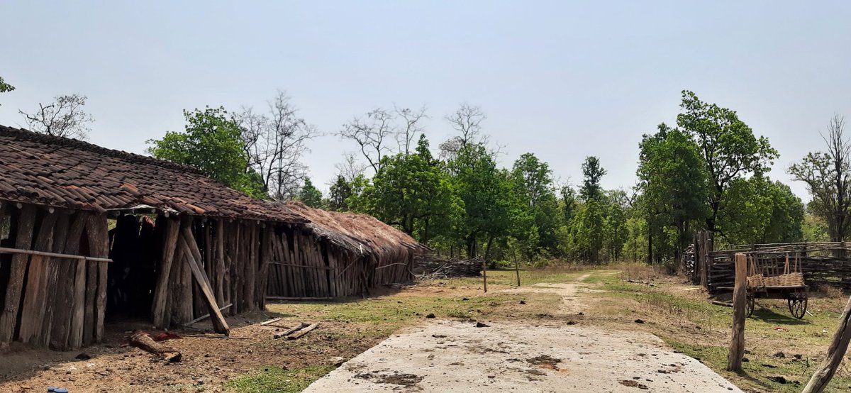 bodhi_ramteke's tweet photo. SHOCKING!
Is healthcare system inclusive of tribals?
Received a reply of RTI, around 35% posts of healthcare workers (THO, MO Group A &amp; B) are vacant in Gadchiroli. Wherein highest no. of vacancies is of MO (Group B) which is more than 50%. @rajeshtope11 @OfficeofUT @India_NHRC https://t.co/kZ3kKJAE8m