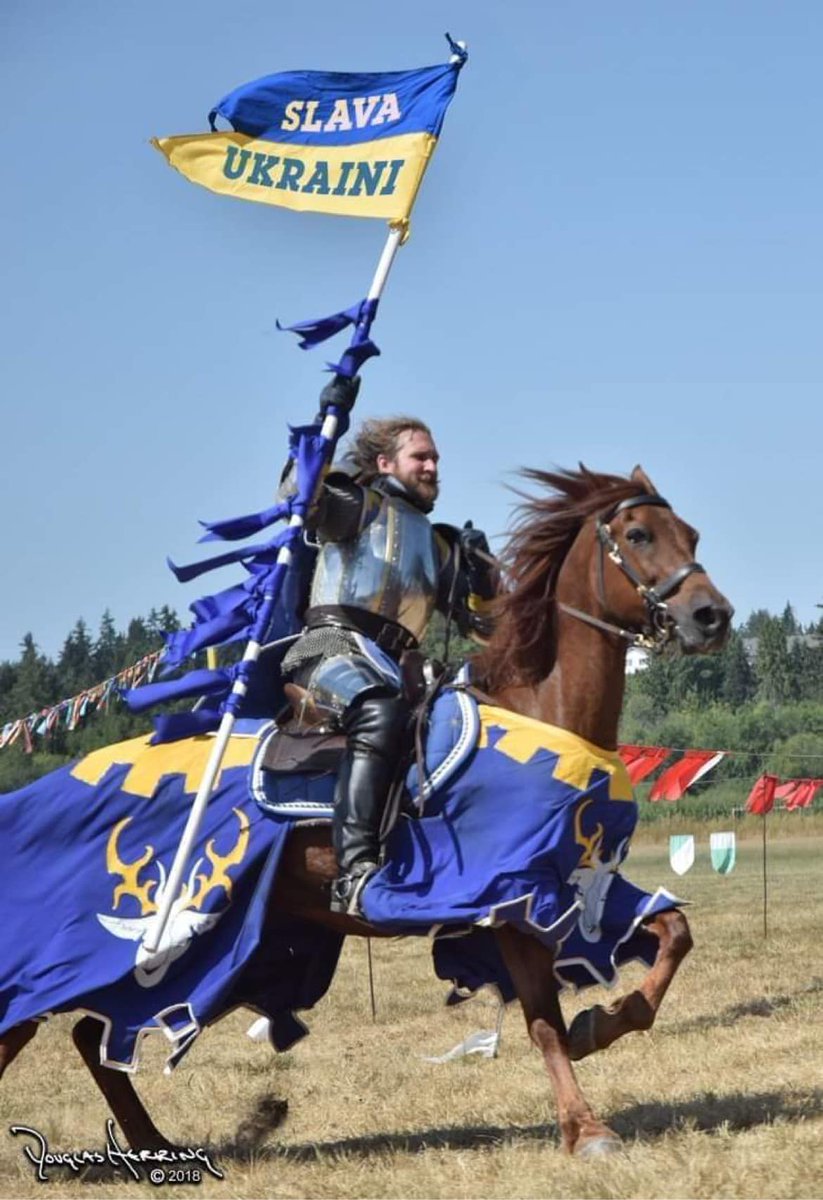 Just came from our customer. #Seattleknights
The rider is Kyle Robinson. Photo and editing by Douglas Herring 💙💛
“King’s Guard” armour armstreet.com/store/armor/me…