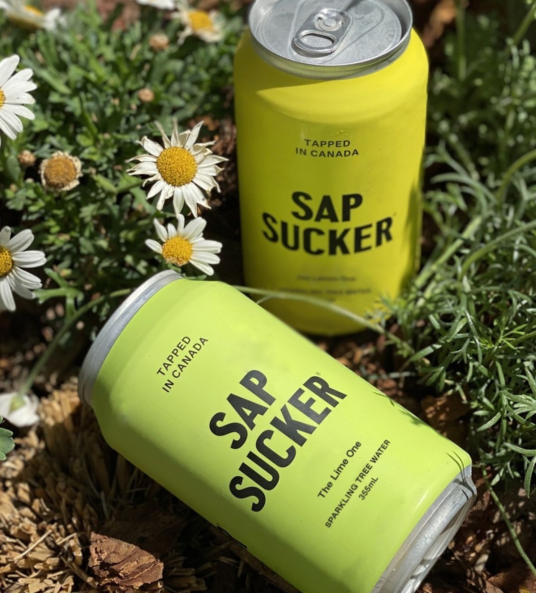 Sapsucker – Organic Tree Water tweet media