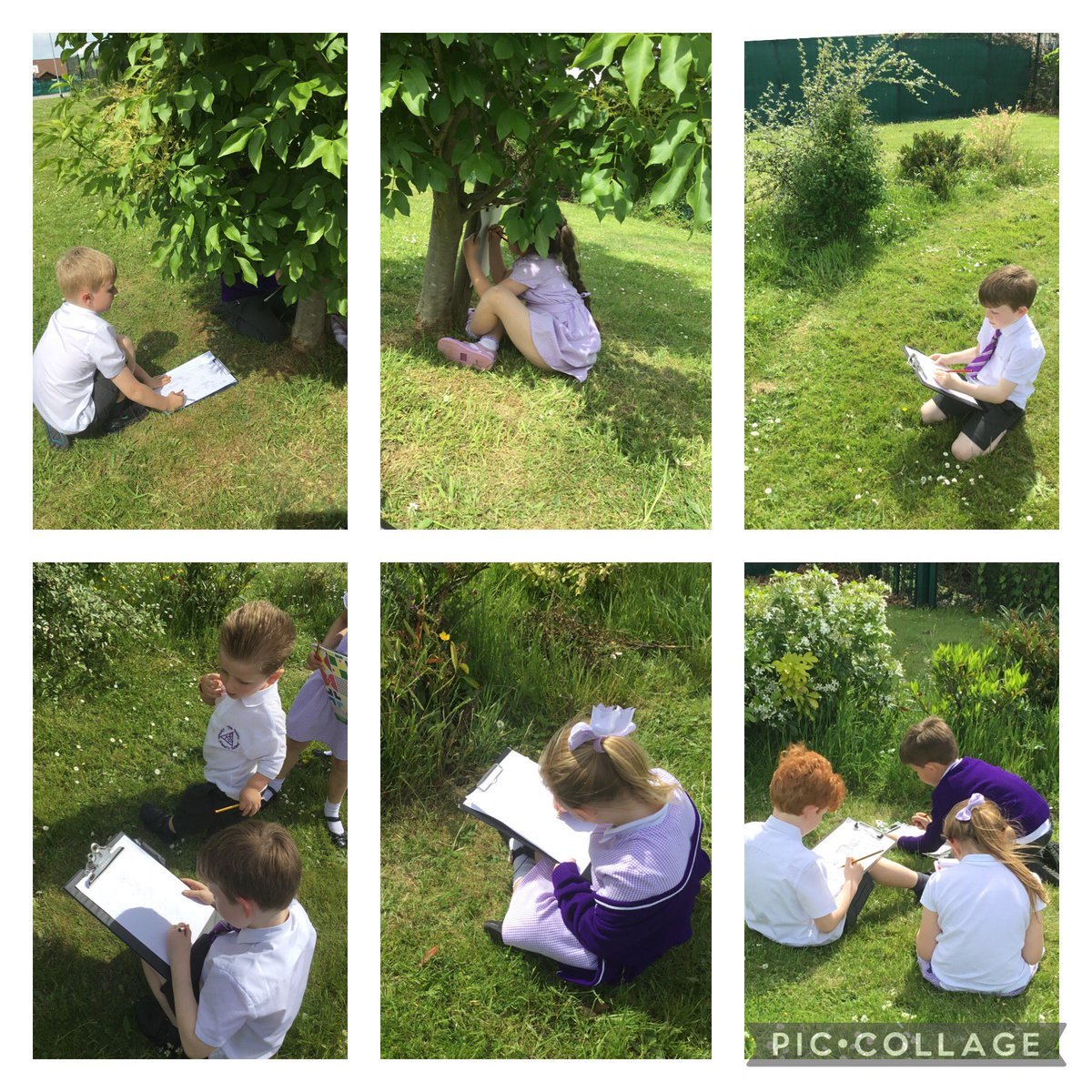 TheTrinityL5's tweet photo. Y1 Science: We have been observing different types of trees and plants around our school grounds. It was a wonderful afternoon and lots of scientific vocabulary was heard during our discussions. #deciduous #evergreen #trinityscience 🌱🌳🍃 https://t.co/vQtmni6TLs