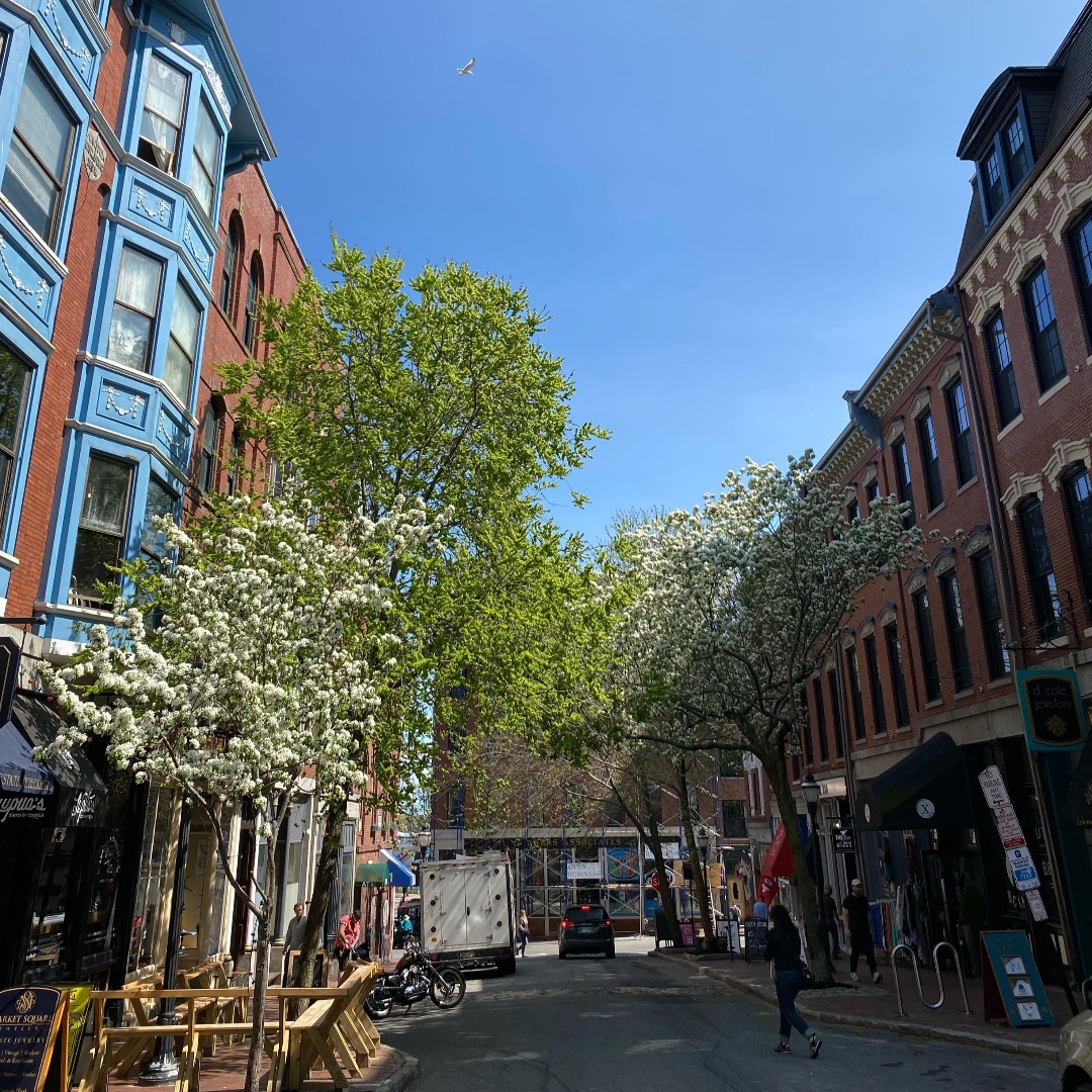 2DineIn's tweet photo. Do you recognize this well-known Portland, Maine street? The trees are in bloom and the sky is as blue as blue can be! #PortlandMaine https://t.co/x8N1RP0zac