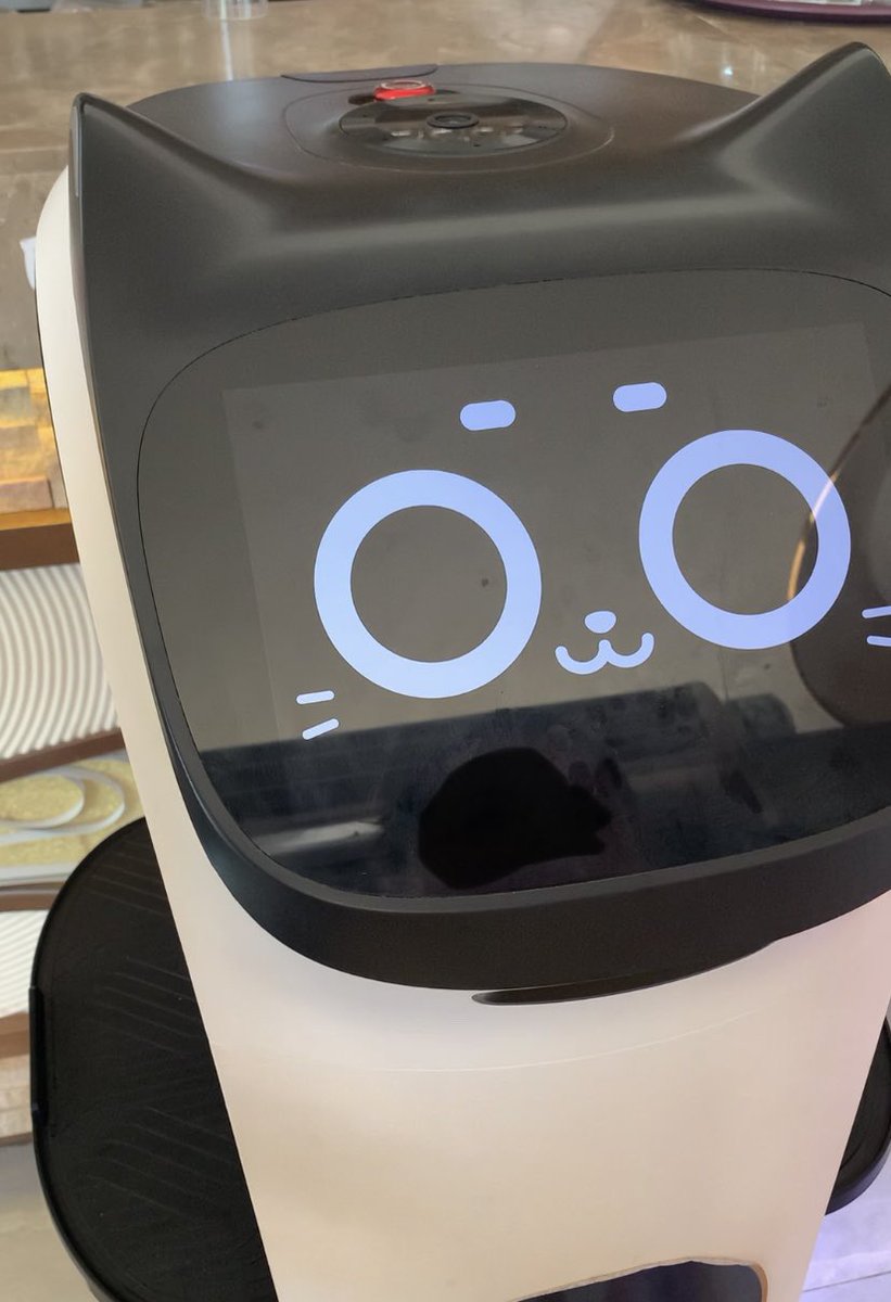 ryoko00f's tweet photo. フランスのレストランで猫型の配膳ロボットがいたよ🤖 初めて見たー❗️耳や頭を撫でると赤く光って表情が変わるよ。
#ロボット #フランス暮らし #BellaBot #robotchat https://t.co/5mNkLGSmbZ