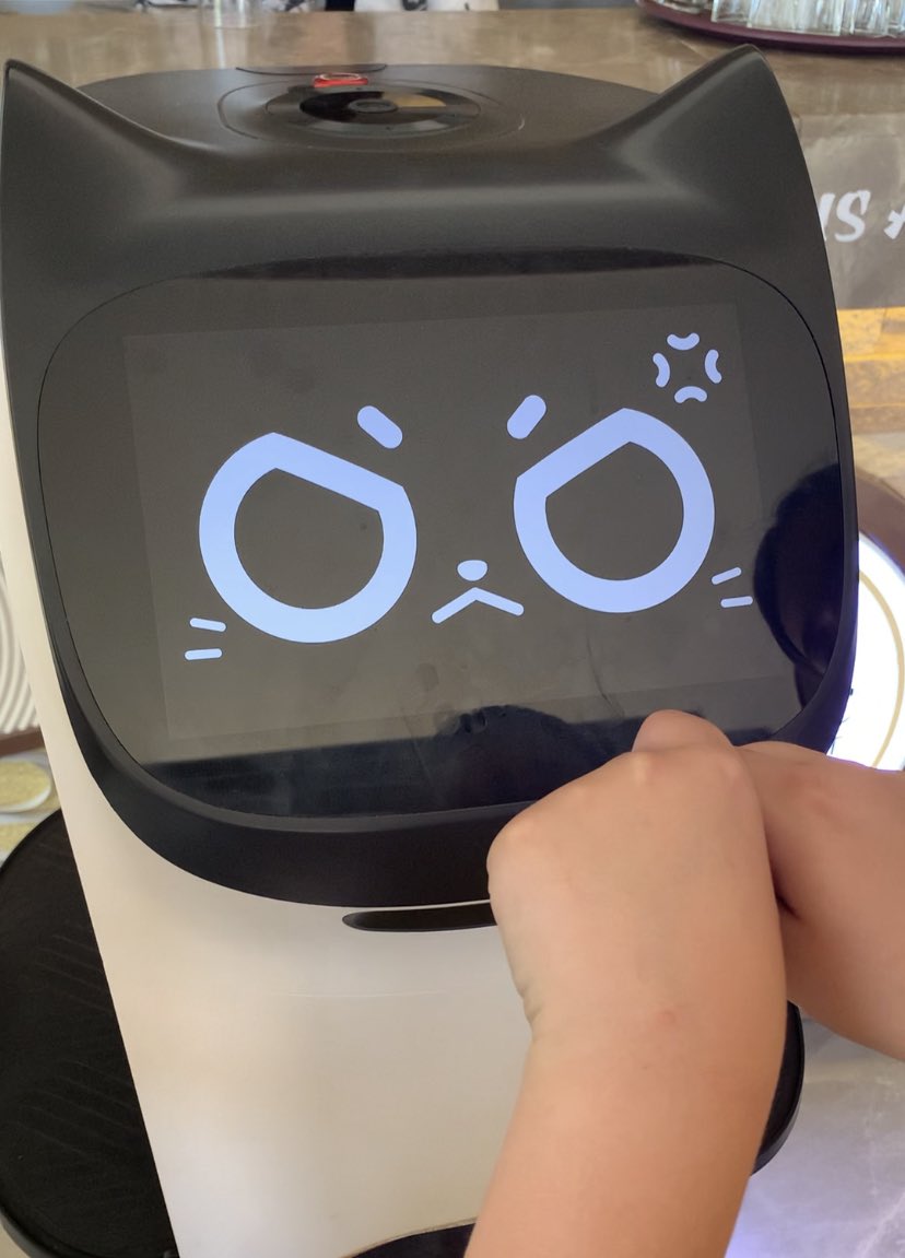 ryoko00f's tweet photo. フランスのレストランで猫型の配膳ロボットがいたよ🤖 初めて見たー❗️耳や頭を撫でると赤く光って表情が変わるよ。
#ロボット #フランス暮らし #BellaBot #robotchat https://t.co/5mNkLGSmbZ